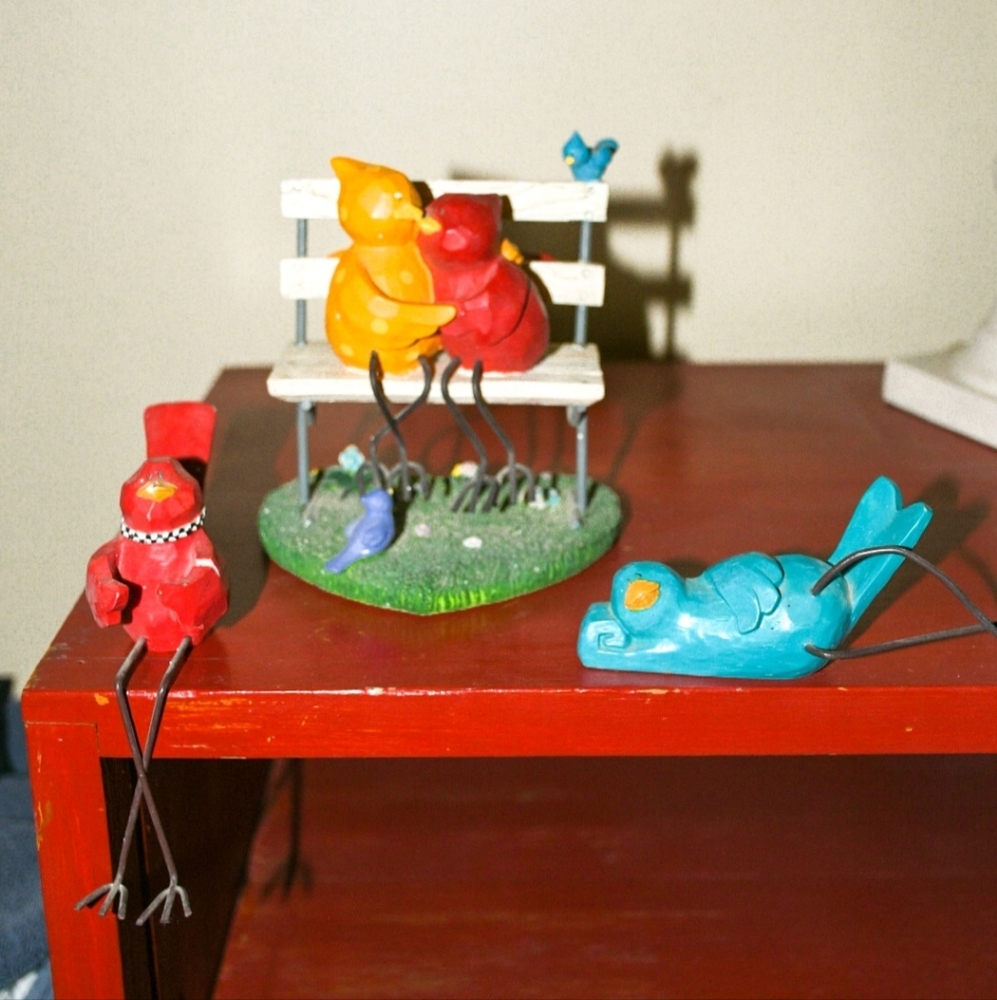 Trio of Birds